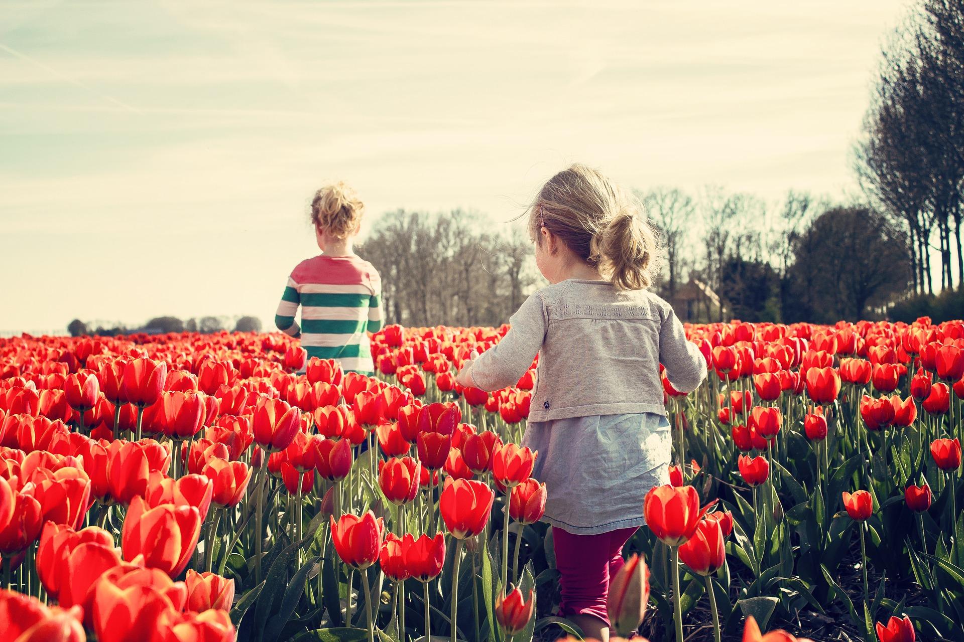 little girls in flower fields